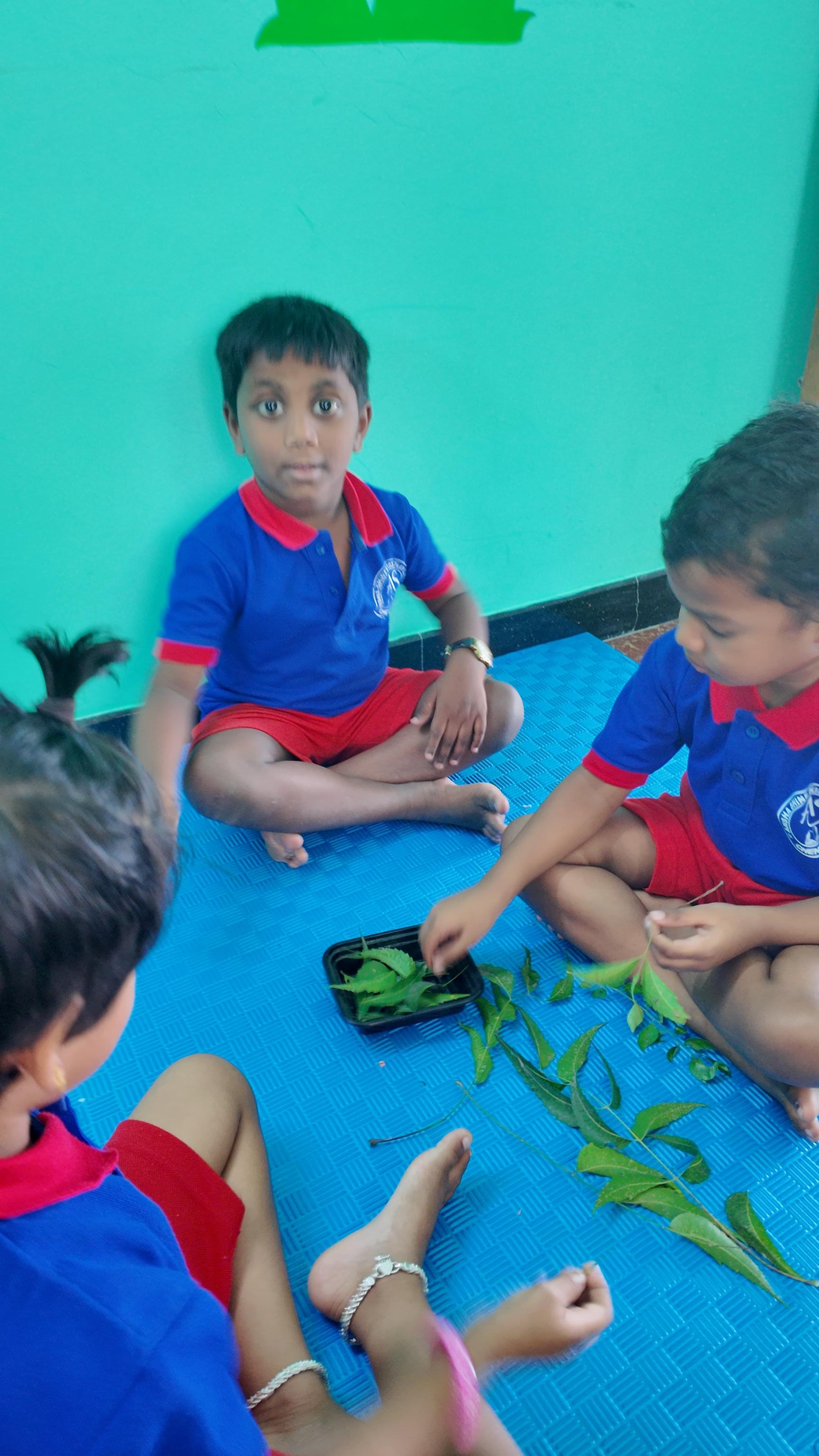 Cultural celebration